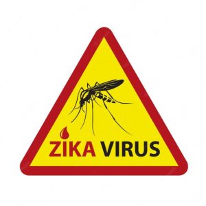 ZIKA VIRUS 2